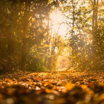 南宫体育app下载安装